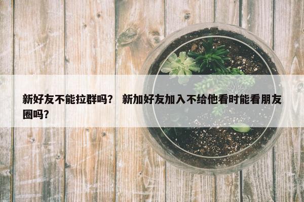 新好友不能拉群吗？ 新加好友加入不给他看时能看朋友圈吗？