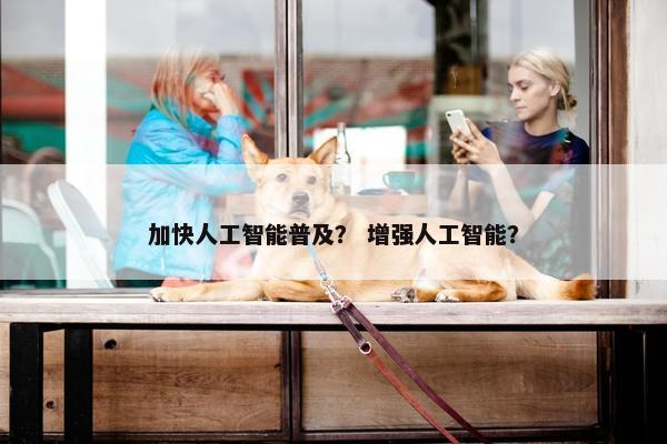 加快人工智能普及？ 增强人工智能？