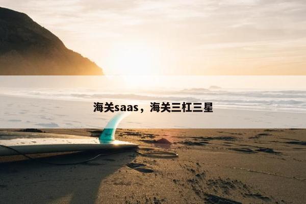海关saas，海关三杠三星