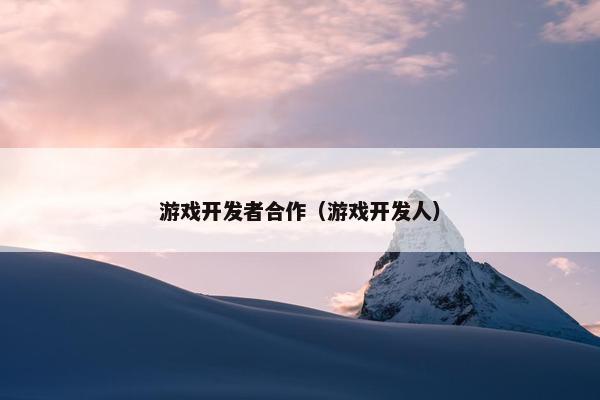 游戏开发者合作（游戏开发人）