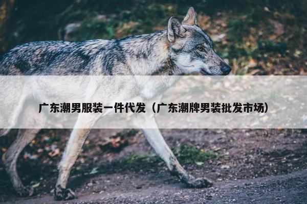 广东潮男服装一件代发（广东潮牌男装批发市场）