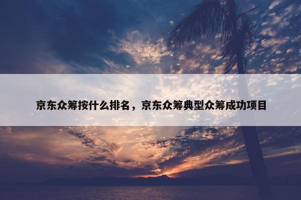 京东众筹按什么排名，京东众筹典型众筹成功项目