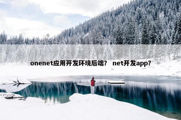 onenet应用开发环境后端？ net开发app？