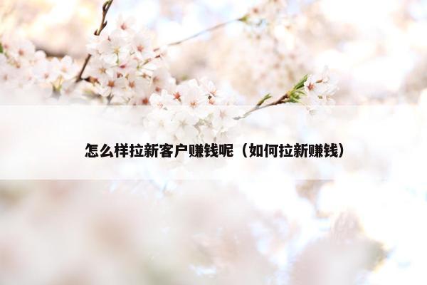 怎么样拉新客户赚钱呢（如何拉新赚钱）