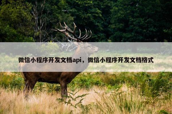 微信小程序开发文档api，微信小程序开发文档格式