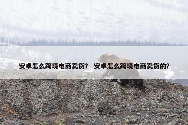 安卓怎么跨境电商卖货？ 安卓怎么跨境电商卖货的？