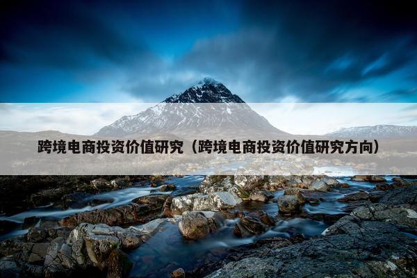 跨境电商投资价值研究（跨境电商投资价值研究方向）