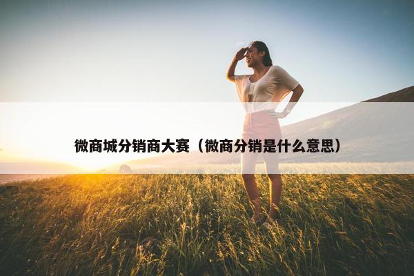 微商城分销商大赛（微商分销是什么意思）