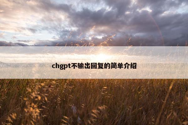 chgpt不输出回复的简单介绍