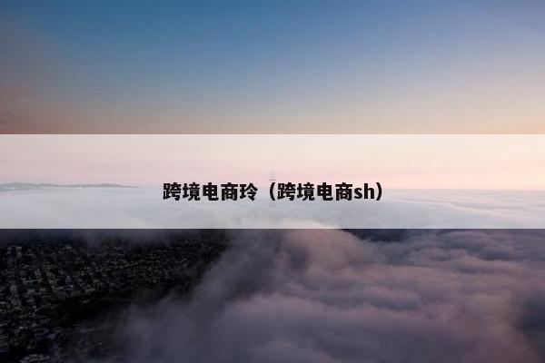 跨境电商玲（跨境电商sh）