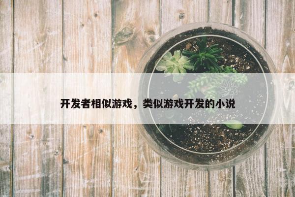开发者相似游戏，类似游戏开发的小说