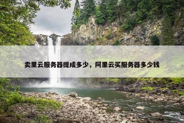 卖里云服务器提成多少，阿里云买服务器多少钱