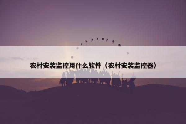 农村安装监控用什么软件（农村安装监控器）