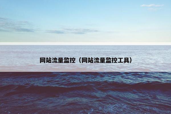 网站流量监控（网站流量监控工具）