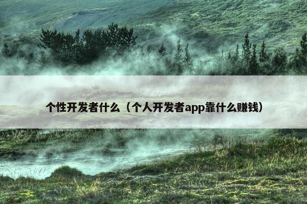 个性开发者什么（个人开发者app靠什么赚钱）