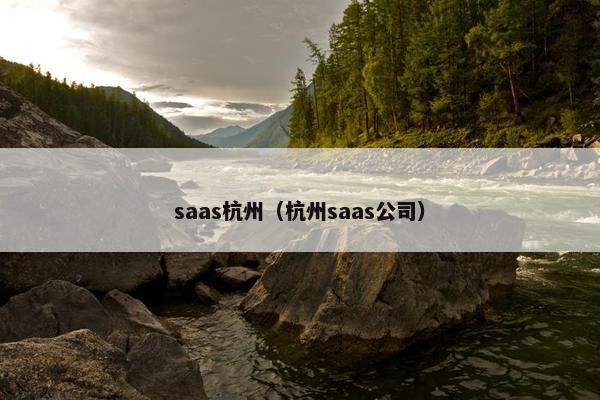saas杭州（杭州saas公司）