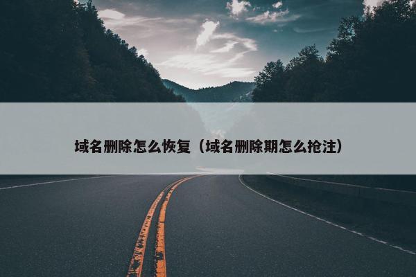 域名删除怎么恢复（域名删除期怎么抢注）
