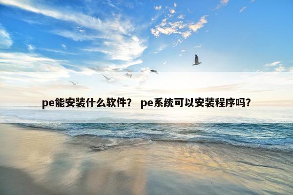 pe能安装什么软件？ pe系统可以安装程序吗？