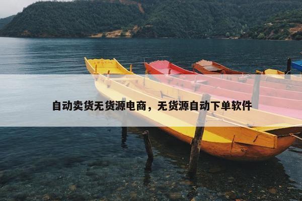 自动卖货无货源电商，无货源自动下单软件