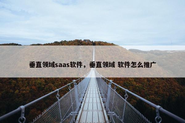 垂直领域saas软件，垂直领域 软件怎么推广