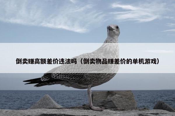 倒卖赚高额差价违法吗（倒卖物品赚差价的单机游戏）
