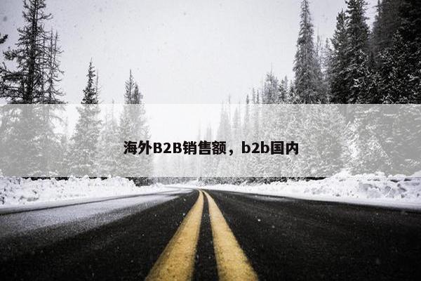 海外B2B销售额，b2b国内
