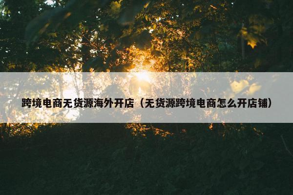跨境电商无货源海外开店（无货源跨境电商怎么开店铺）