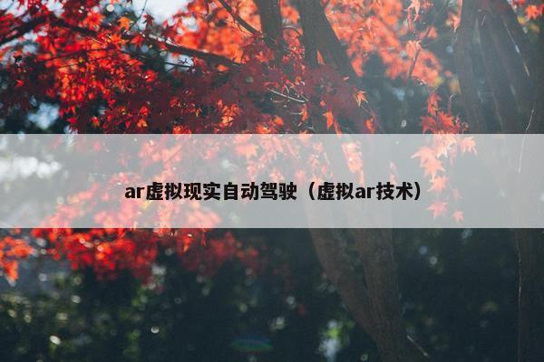 ar虚拟现实自动驾驶（虚拟ar技术）