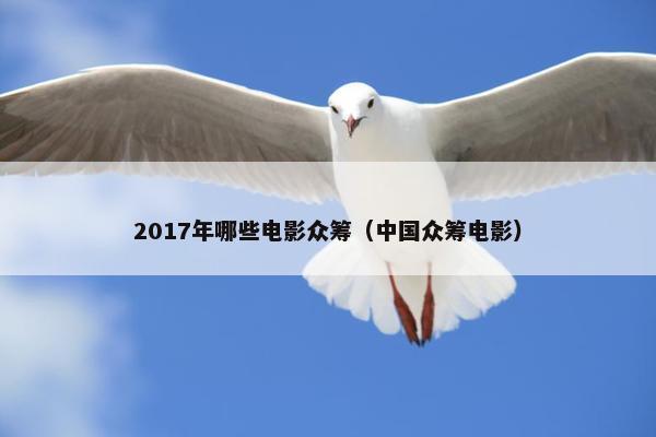2017年哪些电影众筹（中国众筹电影）