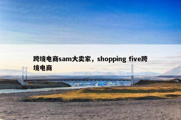 跨境电商sam大卖家，shopping five跨境电商