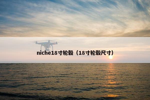 niche18寸轮毂（18寸轮毂尺寸）