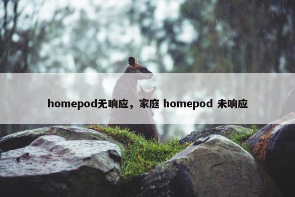 homepod无响应，家庭 homepod 未响应