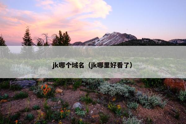 jk哪个域名（jk哪里好看了）