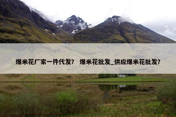 爆米花厂家一件代发？ 爆米花批发_供应爆米花批发？