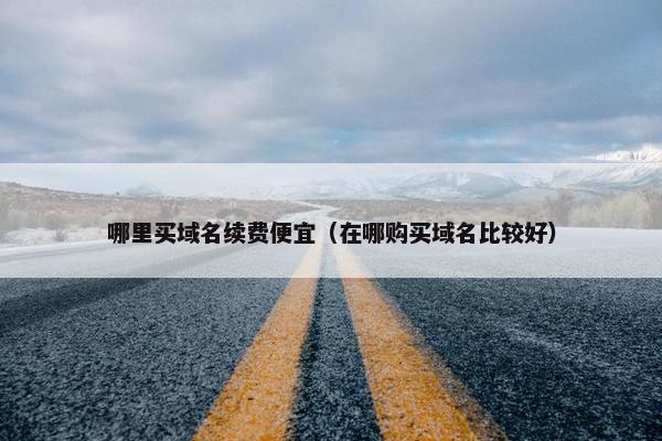 哪里买域名续费便宜（在哪购买域名比较好）