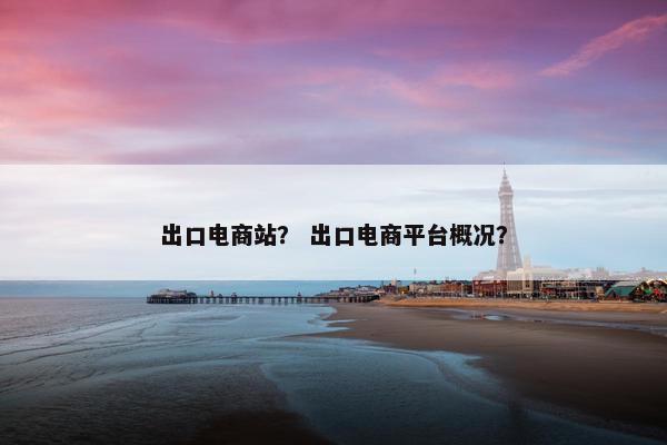 出口电商站？ 出口电商平台概况？