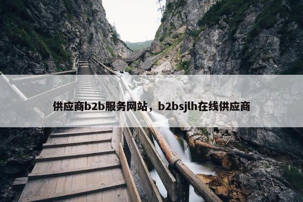 供应商b2b服务网站，b2bsjlh在线供应商