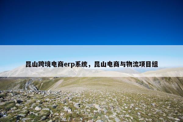 昆山跨境电商erp系统，昆山电商与物流项目组