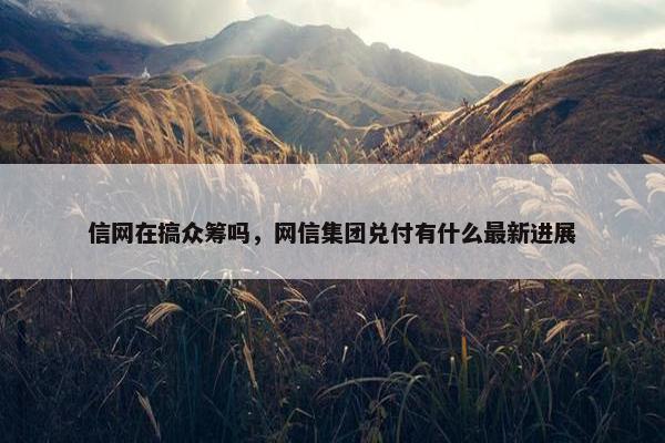 信网在搞众筹吗，网信集团兑付有什么最新进展