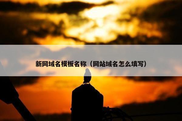 新网域名模板名称（网站域名怎么填写）