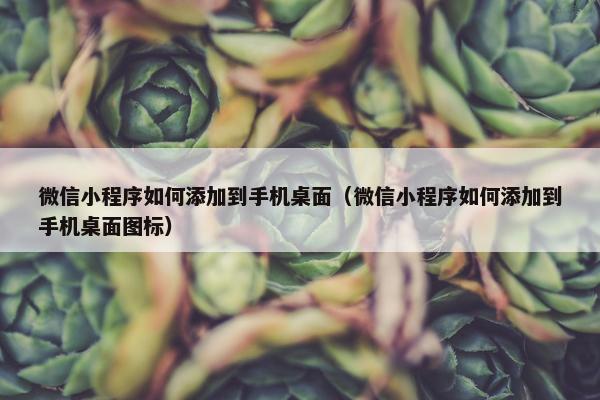 微信小程序如何添加到手机桌面（微信小程序如何添加到手机桌面图标）
