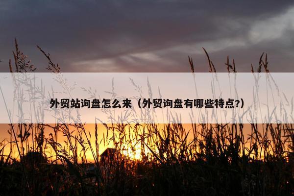 外贸站询盘怎么来（外贸询盘有哪些特点?）