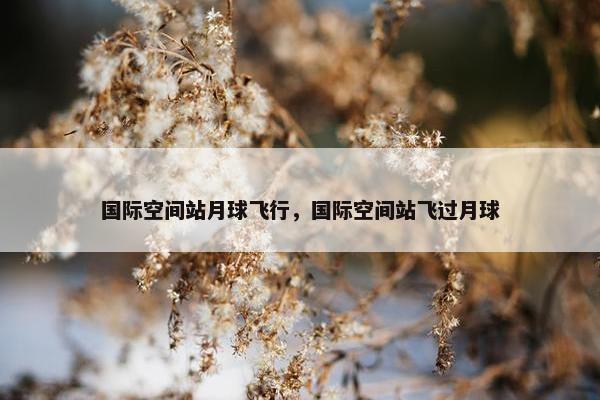 国际空间站月球飞行，国际空间站飞过月球