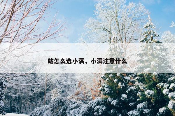 站怎么选小满，小满注意什么