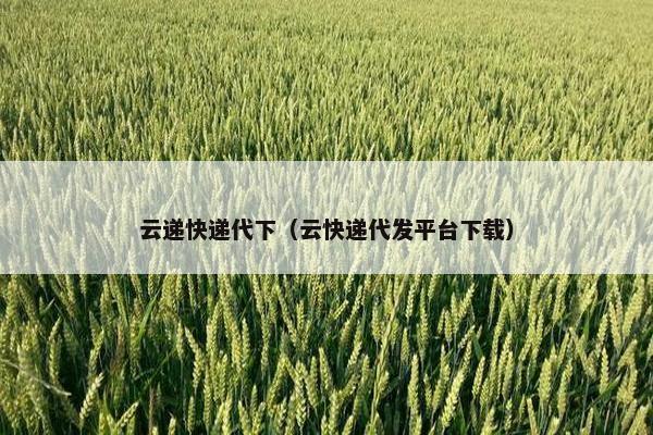 云递快递代下（云快递代发平台下载）