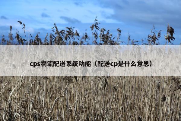 cps物流配送系统功能（配送cp是什么意思）
