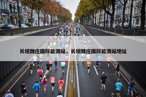 长垣魏庄国际能源站，长垣魏庄国际能源站地址