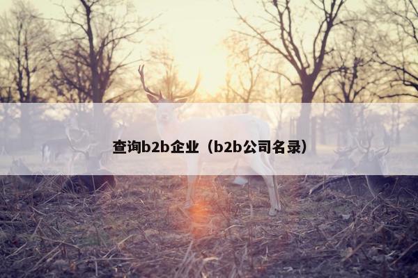 查询b2b企业（b2b公司名录）