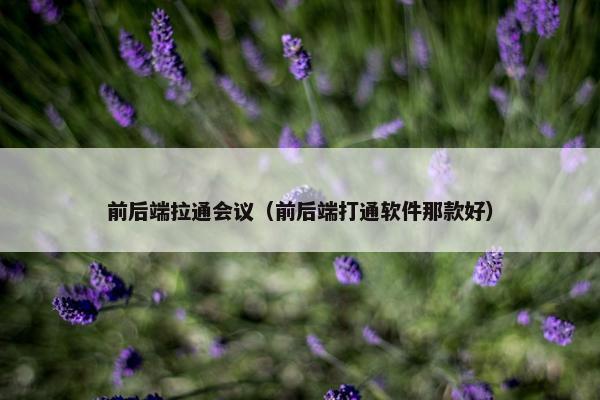 前后端拉通会议（前后端打通软件那款好）