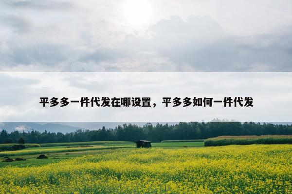 平多多一件代发在哪设置，平多多如何一件代发
